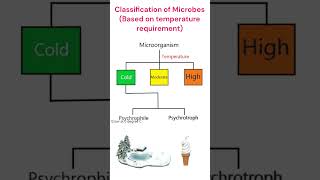 Classification of Microorganism Temperature requirement microbiology animation [upl. by Galer]