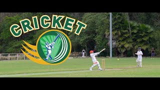 KID CRICKET  cricket kidsports t20 [upl. by Notgnirrac]