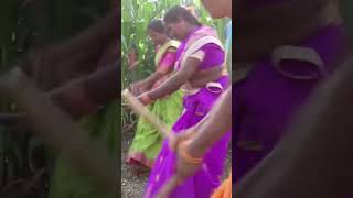 Raye pilla yenkati dance telugu folk kolatam kolatamtelugusongs [upl. by Herrick]