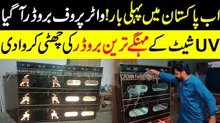 Cheapest chicks brooder in Pakistan  Mughal incubators chicks brooders [upl. by Ymaj]