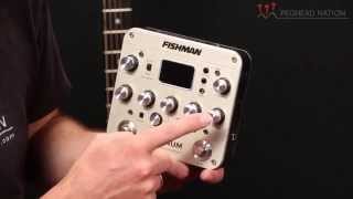 Fishman Platinum Pro EQ Demo from Peghead Nation [upl. by Biles662]