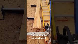 Chainsaw milling made so easy with the Norwood pm14 portable mill 2024 [upl. by Mauricio915]