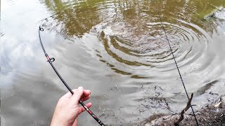 AWESOME ByCatch While Fishing In A Drying Lagoon [upl. by Ikkela986]