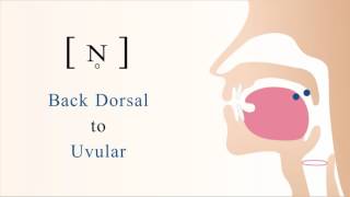 ɴ̥  unvoiced back dorsal uvular nasal stop [upl. by Locklin468]