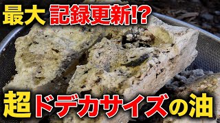 デケエ！！！過去最大？超ドデカサイズの油の原因とは！？【花のお掃除 225】 [upl. by Greenquist]