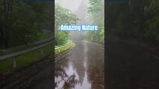 Rimjhim gire sawanBeautiful Nature Trending reels❤️❤️ [upl. by Adnohsirk]