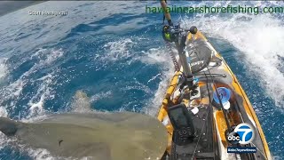 Shark leaps to attack kayaker in shocking video [upl. by Jabez526]