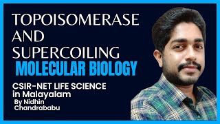 TOPOISOMERASE AND SUPERCOILING  MOLECULAR BIOLOGY  CSIR NET LIFE SCIENCE in Malayalam [upl. by Bunker]