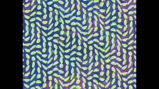 Animal Collective  Merriweather Post Pavilion [upl. by Mecke]