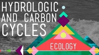 The Hydrologic and Carbon Cycles Always Recycle  Crash Course Ecology 8 [upl. by Rennob]