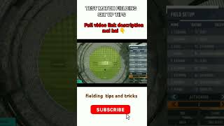 real cricket 24 fielding setup in test match rc 24 shorts [upl. by Clovis260]