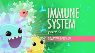 Immune System Part 2 Crash Course Anatomy amp Physiology 46 [upl. by Giustino]