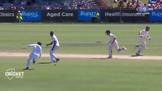 Bavuma brilliance catches Warner short [upl. by Grissom437]