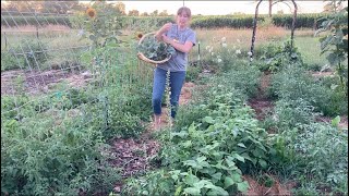 Homestead Garden Tour 50x50ft June 30 [upl. by Eidur]