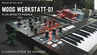 Moog Werkstatt01  A Compilation Of Sounds [upl. by Anahsat]