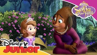 Sofia the First  Princess Charlotte  Official Disney Junior Africa [upl. by Angid]