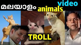 ANIMALS TROLL MALAYALAM VIDEO  part2  🤣🤣 മലയാളം ട്രോൾ  bumberthugs [upl. by Sum]