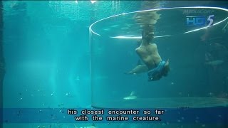 Nick Vujicic dives with sharks in Marine Life Park Singapore  05Sep2013 [upl. by Suivatal]