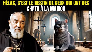 PADRE PIO  CEST LE DESTIN DE CEUX QUI ONT DES CHATS À LA MAISON [upl. by Cunningham]