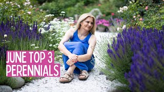 Top 3 perennials in June garden  salvias  catmint delphiniums [upl. by Nylidam]