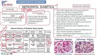 Nefropatía Diabética [upl. by Foley]