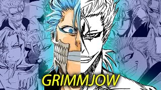 Grimmjow Jaegerjaquez THE REBEL  BLEACH Character Analysis [upl. by Attela620]