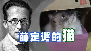 活著還是死了？盒子裏的貓，一個開啓平行宇宙的經典實驗！量子物理 [upl. by Rivard]