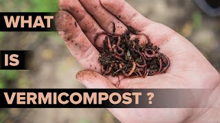 What is Vermicomposting  Methods of Vermicomposting  Environmental Science  Letstute [upl. by Norda569]