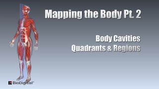 Mapping the Body Pt 2 Cavities Quadrants Regions [upl. by Tloh]