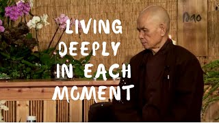 Living Deeply in Each Moment  Dharma Talk by Thich Nhat Hanh 20131222 [upl. by Clemence]