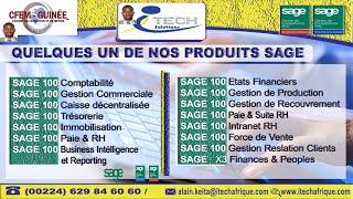 SAGE 100 RAPPROCHEMENT BANCAIRE AUTOMATIQUE 1ière partieGestion des Extraits manuels [upl. by Ahsimot]