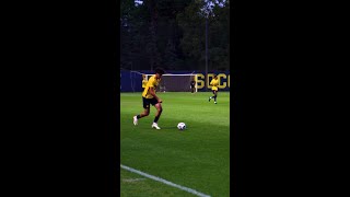 Bryce Blevins Goal  Michigan Soccer [upl. by Nahtanha454]