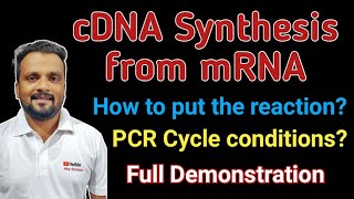 cDNA synthesis from mRNA  How to setup the reaction  Calculation amp PCR Conditions  Full Details [upl. by Maidy]