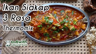 TM6 IKAN SIAKAP 3 RASA CHE NOM THERMOMIX [upl. by Ille620]