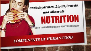 Nutrition Part2 Components of human foods Carbohydrates Lipids Protein BIOLOGY Ch 8 Class 9 Urdu [upl. by Zimmer]