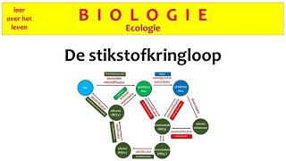 Biologie  Ecologie  De stikstofkringloop [upl. by Anhej]