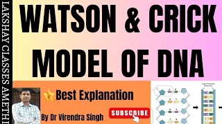 Structure of DNA  Watsons and Crick model of DNA   For NEET BSc 1 sem and other etc [upl. by Talbot]