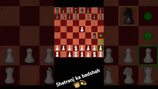 👑shatranj 💫 ka 👑 badshah 👑💫games [upl. by Maxima778]