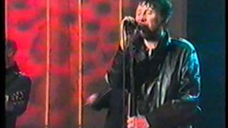 Shane MacGowan amp The Popes  Rock N Roll Paddy [upl. by Courcy411]