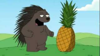 Porcupine meeting a pineapple [upl. by Aziza]