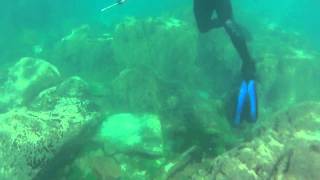 Snorkeling At Green Cliffs Abbotsham North Devon [upl. by Moynahan]