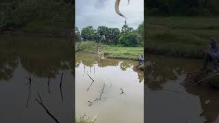 Neighbors Stunned As Floodwaters Gets ChestHigh [upl. by Wolpert687]