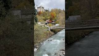 Switzerland 🇨🇭 Gstaad video travel shortvideo shortsvideo nature shorts switzeland nature [upl. by Lleumas]