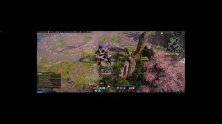 Lost Ark Punika Secret forest best excavating spot guide [upl. by Colburn]