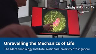 Unravelling the Mechanics of Life The Mechanobiology Institute National University Of Singapore [upl. by Reames]