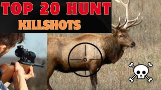 BEST HUNTING KILL SHOTS in 13 MINUTES [upl. by Limbert767]