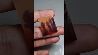 Awesome Rose Dendritic Agate  Best Quality Dendritic Agate Cabochondendrites [upl. by Dominick]