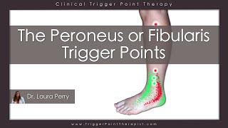 The Peroneus or Fibularis Trigger Points [upl. by Einahteb]