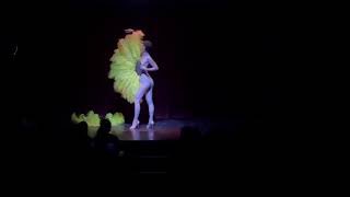 My Only Fans act Sucre dOrge burlesque fan dance [upl. by Igiul260]