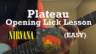 Meat Puppets Nirvana  Plateau  Guitar Lesson Intro  Guitar Tab EASY [upl. by Onitnelav149]